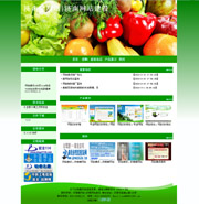 ��վ����ģ��249������վģ��249����վ����psdģ��249