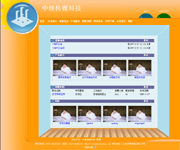 ��վ����ģ��98������վģ��98����վ����psdģ��98